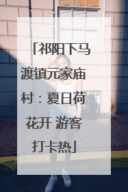 祁阳下马渡镇元家庙村：夏日荷花开 游客打卡热
