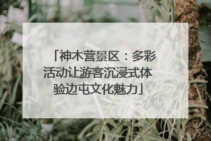 神木营景区：多彩活动让游客沉浸式体验边屯文化魅力