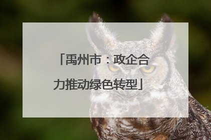 禹州市：政企合力推动绿色转型