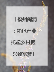 福州闽清：箱包产业托起乡村振兴致富梦