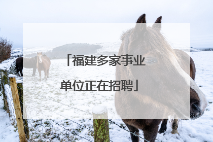 福建多家事业单位正在招聘