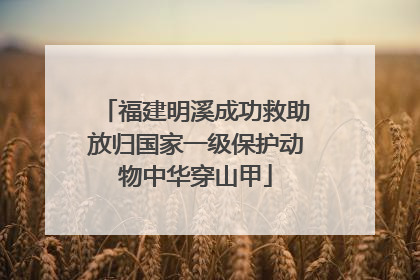 福建明溪成功救助放归国家一级保护动物中华穿山甲