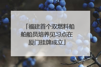 福建首个双燃料船舶船员培养见习点在厦门挂牌成立
