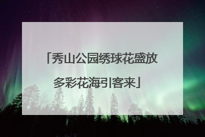 秀山公园绣球花盛放 多彩花海引客来