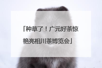 种草了！广元好茶惊艳亮相川茶博览会