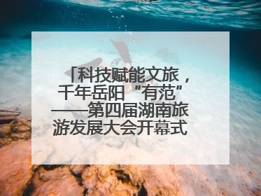 科技赋能文旅，千年岳阳“有范”——第四届湖南旅游发展大会开幕式暨文化旅游推介会侧记