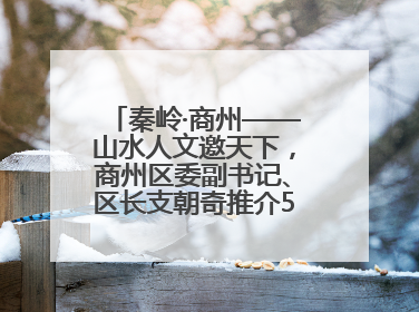秦岭·商州——山水人文邀天下，商州区委副书记、区长支朝奇推介5个重点招商项目