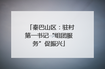 秦巴山区：驻村第一书记“组团服务”促振兴
