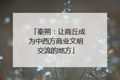 秦朔：让商丘成为中西方商业文明交流的地方