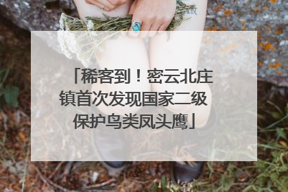 稀客到！密云北庄镇首次发现国家二级保护鸟类凤头鹰