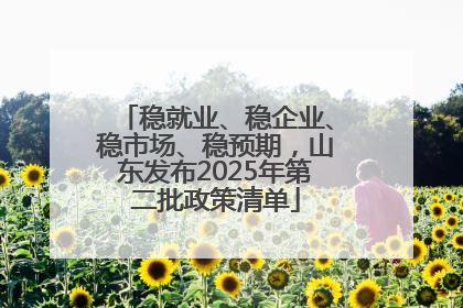 稳就业、稳企业、稳市场、稳预期，山东发布2025年第二批政策清单