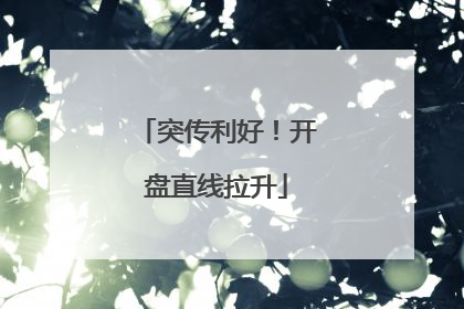突传利好！开盘直线拉升
