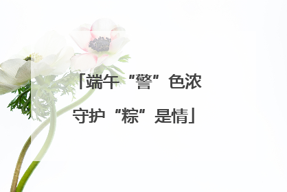 端午“警”色浓 守护“粽”是情