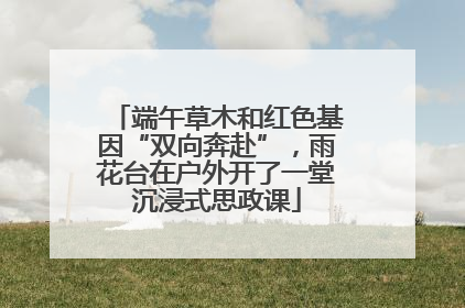 端午草木和红色基因“双向奔赴”，雨花台在户外开了一堂沉浸式思政课