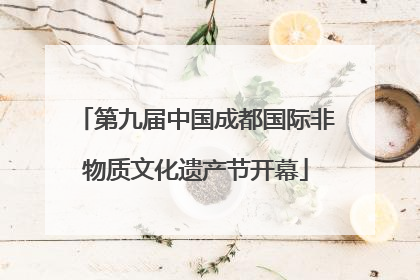 第九届中国成都国际非物质文化遗产节开幕