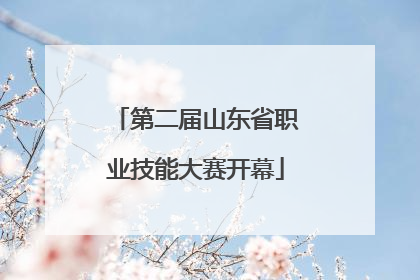 第二届山东省职业技能大赛开幕