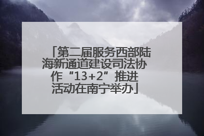 第二届服务西部陆海新通道建设司法协作“13+2”推进活动在南宁举办