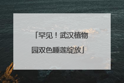 罕见！武汉植物园双色睡莲绽放