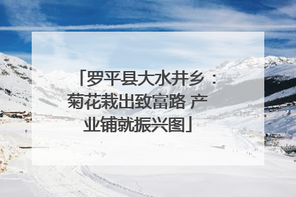 罗平县大水井乡：菊花栽出致富路 产业铺就振兴图