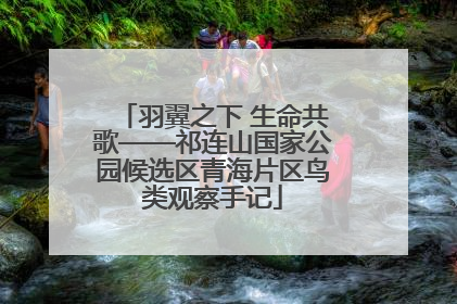 羽翼之下 生命共歌——祁连山国家公园候选区青海片区鸟类观察手记