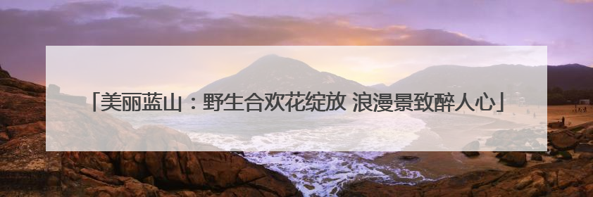 美丽蓝山：野生合欢花绽放 浪漫景致醉人心