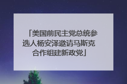 美国前民主党总统参选人杨安泽邀请马斯克合作组建新政党