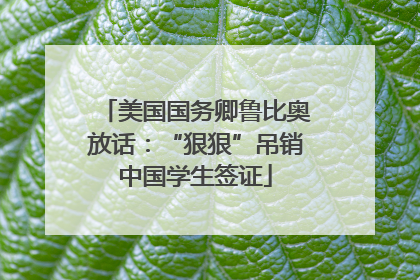 美国国务卿鲁比奥放话：“狠狠”吊销中国学生签证