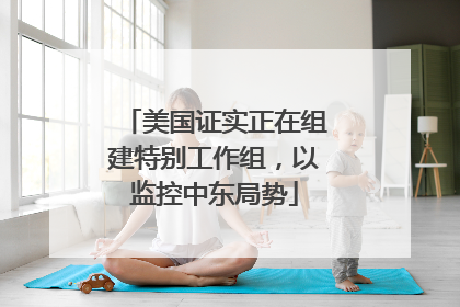 美国证实正在组建特别工作组，以监控中东局势