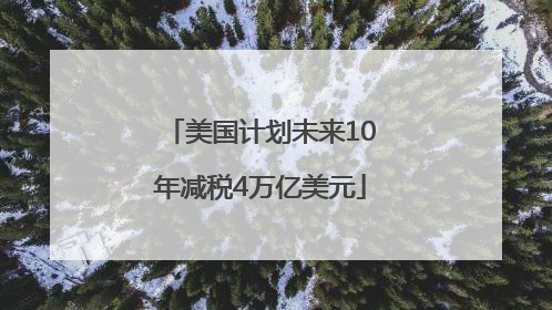 美国计划未来10年减税4万亿美元