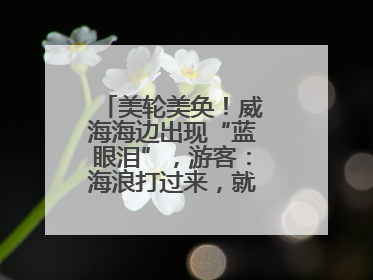 美轮美奂！威海海边出现“蓝眼泪”，游客：海浪打过来，就像星河一样