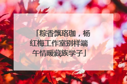 粽香飘珞珈，杨红梅工作室别样端午情暖藏族学子