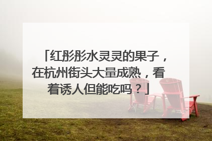 红彤彤水灵灵的果子，在杭州街头大量成熟，看着诱人但能吃吗？