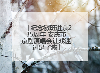 纪念徽班进京235周年 安庆市京剧演唱会让戏迷过足了瘾
