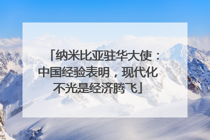 纳米比亚驻华大使：中国经验表明，现代化不光是经济腾飞