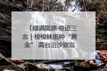绿满陇原·奇迹三北｜梭梭林里种“黄金” 高台治沙致富很“从容”
