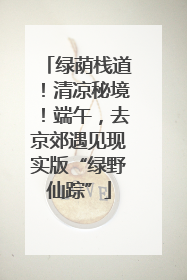 绿荫栈道！清凉秘境！端午，去京郊遇见现实版“绿野仙踪”