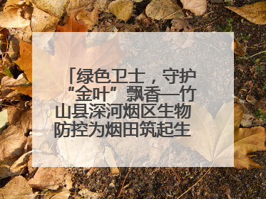 绿色卫士，守护“金叶”飘香—竹山县深河烟区生物防控为烟田筑起生态屏障