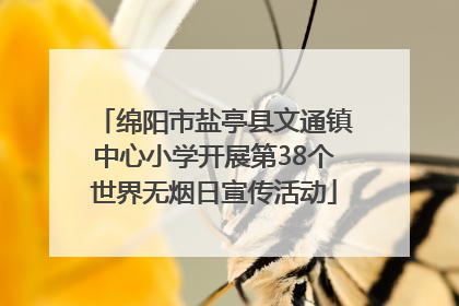 绵阳市盐亭县文通镇中心小学开展第38个世界无烟日宣传活动