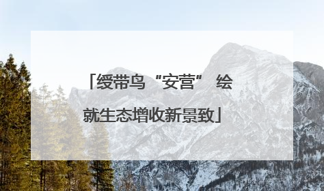 绶带鸟“安营” 绘就生态增收新景致