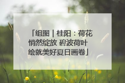 组图|桂阳:荷花悄然绽放 碧波荷叶绘就美好夏日画卷