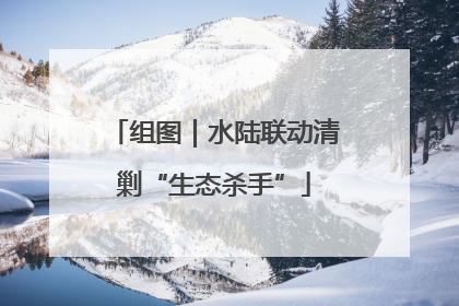组图｜水陆联动清剿“生态杀手”