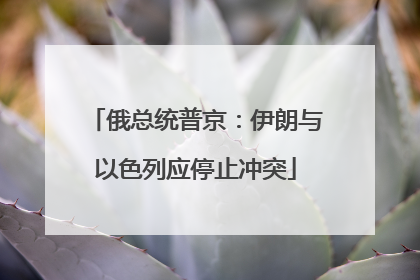 俄总统普京：伊朗与以色列应停止冲突