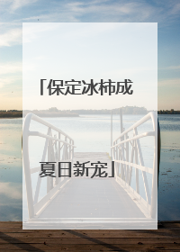保定冰柿成夏日新宠
