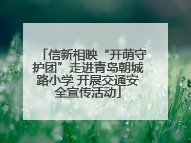 信新相映“开萌守护团”走进青岛朝城路小学 开展交通安全宣传活动