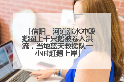 信阳一河道涨水冲毁鹅圈上千只鹅被卷入洪流，当地蓝天救援队一小时赶鹅上岸