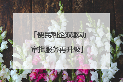 便民利企双驱动 审批服务再升级
