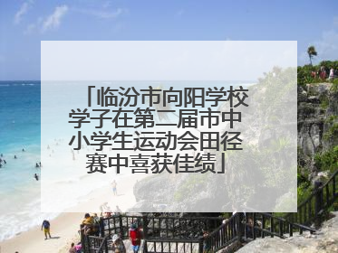 临汾市向阳学校学子在第二届市中小学生运动会田径赛中喜获佳绩