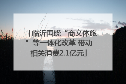 临沂围绕“商文体旅”等一体化改革 带动相关消费2.1亿元