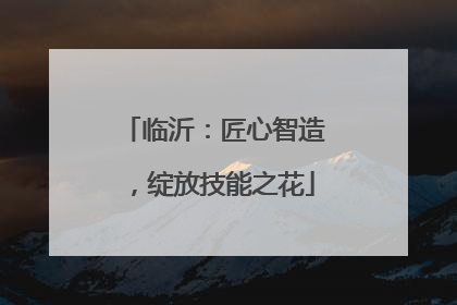 临沂：匠心智造，绽放技能之花