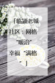 临颍老城社区：网格“暖治” 幸福“满格”